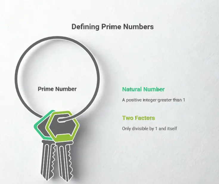 Prime Numbers in C Programming